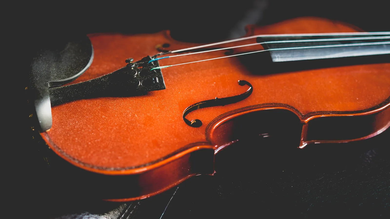 Violin Tailpiece Replacement Service at AH Music, Grantham | Violin Services