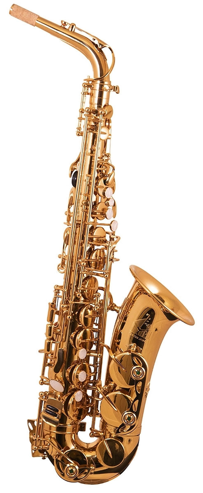 Trevor James The Horn Alto Saxophone Outfit: Gold Lacquer