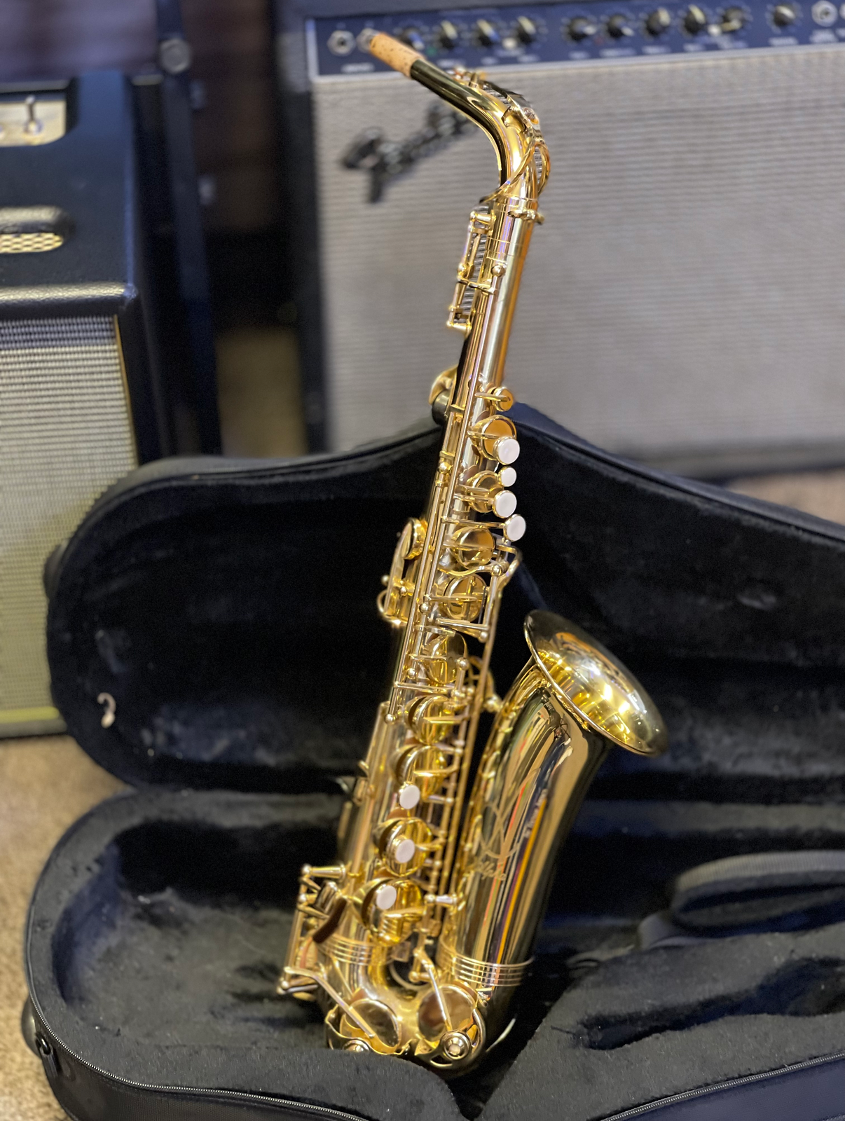 Trevor James Alpha Alto Saxophone Outfit: Gold Lacquer
