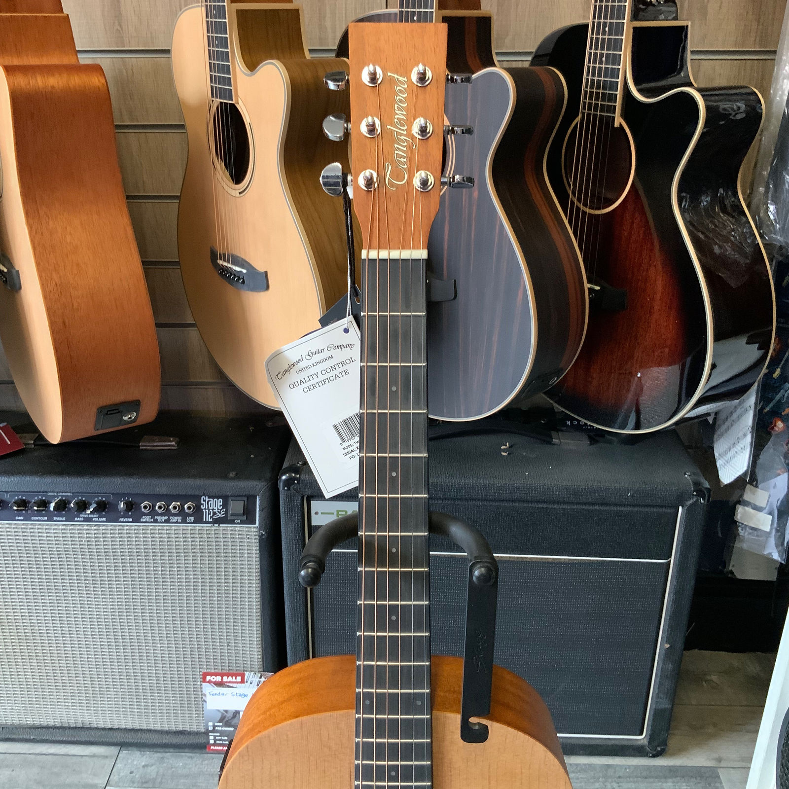 Tanglewood TWR2-PE Electro-Acoustic Guitar