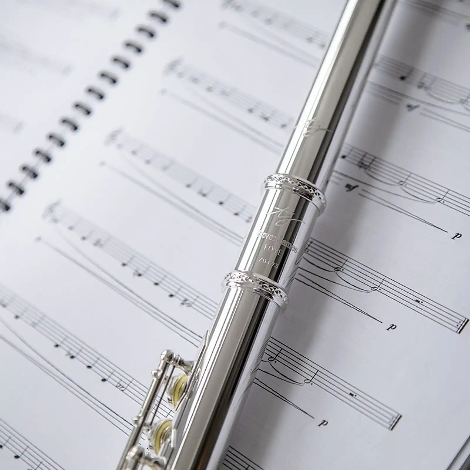 Thumbnail: Trevor James 10X Flute Outfit: CS 925 Silver Lip Plate & Riser