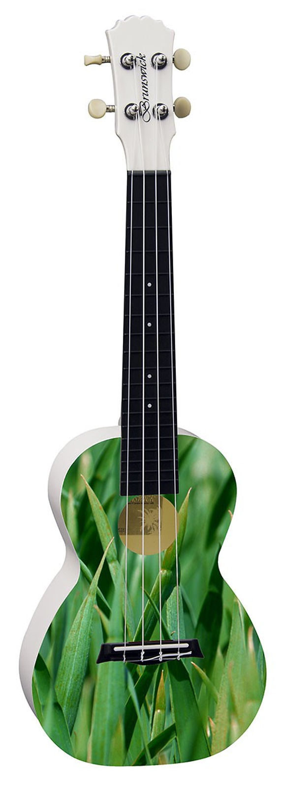 Brunswick Meadow ABS Concert Ukulele