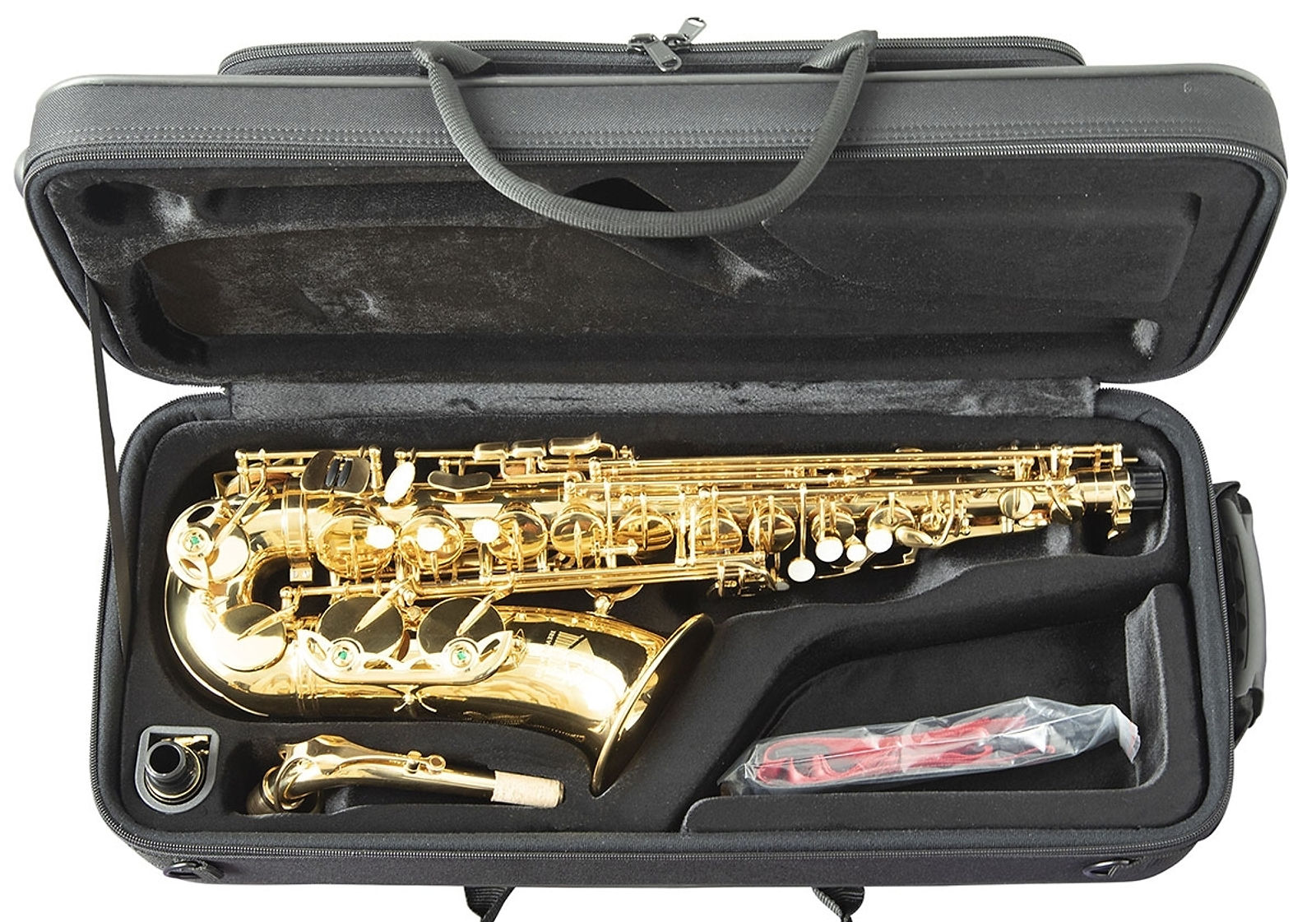 Trevor James The Horn Alto Saxophone Outfit: Gold Lacquer