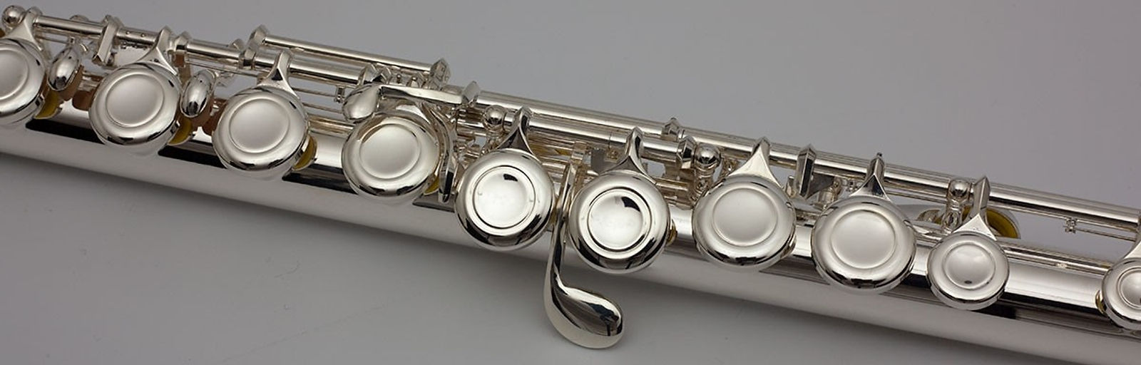 Trevor James 5X Flute Outfit: Silver Plated
