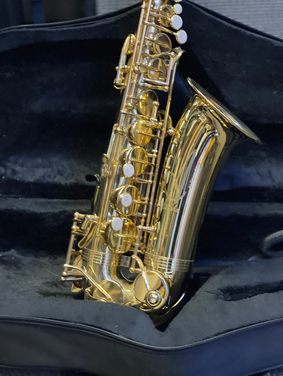 Trevor James Alpha Alto Saxophone Outfit: Gold Lacquer